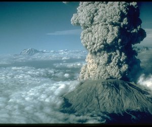 Updated Week 47 of 2013 – Gansbaai News, Specials & Events